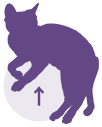 pagetop